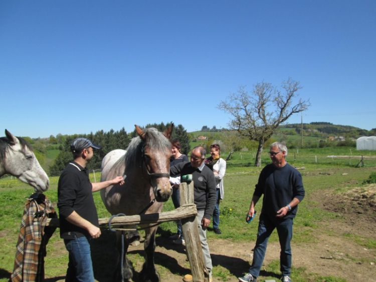 JARDINS et CHEVAUX accepte la monnaie locale