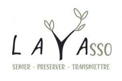 LAYASSO